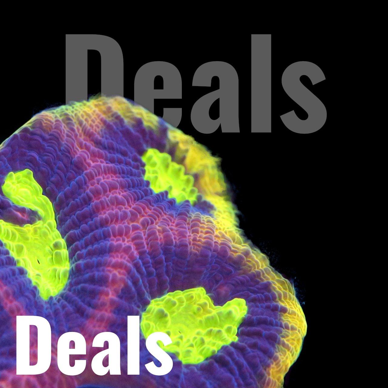 Deals - Corals4U